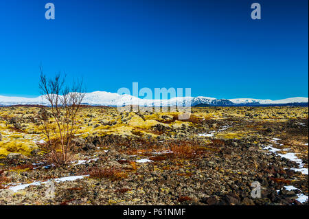 Impression d'desoltae dans paysage d'islande le parc national de thingvellir autour du lac thingvallavatn dans coevred contrastée des couleurs éclatantes, avril 2018 Banque D'Images