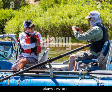 La pêche à la mouche de la truite dans la rivière Arkansas ; bateau gonflable ; qui va passe par le centre-ville de quartier historique de la petite ville de montagne de S Banque D'Images