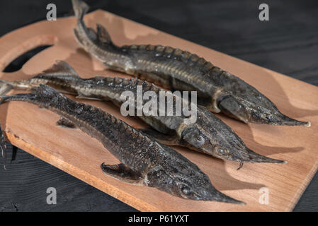 Trois des matières premières fraîches poisson esturgeon sur fond de bois Banque D'Images