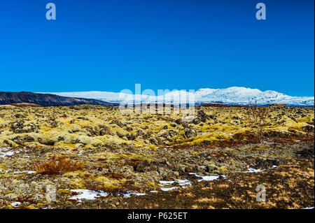 Impression d'desoltae dans paysage d'islande le parc national de thingvellir autour du lac thingvallavatn dans coevred contrastée des couleurs éclatantes, avril 2018 Banque D'Images