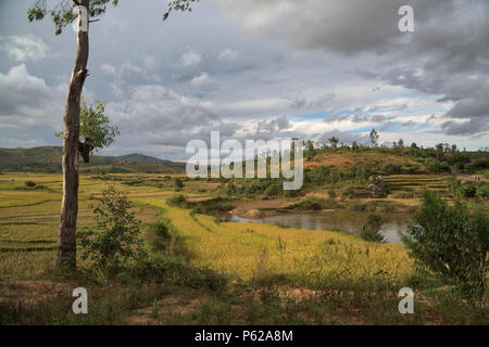 Paysage près d'Ambalavao à Madagascar Banque D'Images