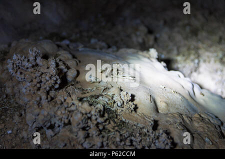 Reste des os laissés par les hiboux dans une grotte dans la région de Bonito, Brésil. Banque D'Images