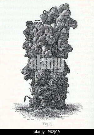 N/A. Anglais : moulage en forme de tour, probablement éjecté par une espèce de 'Perichaeta', du jardin botanique, Calcutta, gravé à partir d'une photographie : Deutsch, Turmförmige Erd-Ausscheidungen in hohe acht Zentimeter aus dem Botanischen Garten von Kalkutta, gezeichnet nach einer Fotografie von der Gruppe, Darwin 'Perichaeta' zugeordnet . 1881. Charles Darwin (1809-1882) Noms alternatifs Charles Robert Darwin naturaliste et auteur britannique Description Date de naissance/décès 12 février 1809, 19 avril 1882 Lieu de naissance/décès Du Mont, Shrewsbury Down House contrôle d'autorité : Q1035 VIAF Banque D'Images