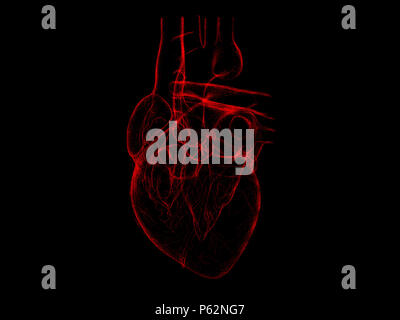X-ray isolé coeur humain rouge 3d illustration sur fond noir Banque D'Images