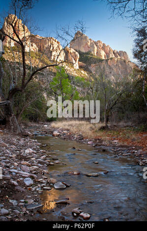 La fin de l'après-midi du soleil sur les sommets de la montagnes Chiricahua se reflète dans l'eau fraîche de Cave Creek. Cave Creek Canyon, Portal, en Arizona. Banque D'Images