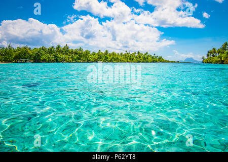 Paradis tropical seascape avec palm tree island. Tahaa, Polynésie française. Banque D'Images