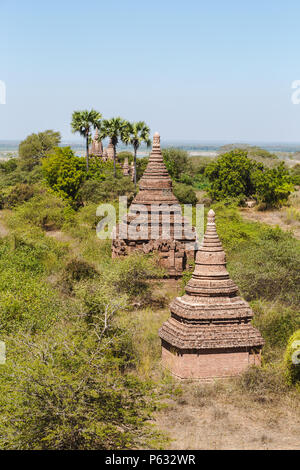 Bagan, Myanmar - 21 févr. 2014 : paysage avec des silhouettes de monuments bouddhiques tower Banque D'Images