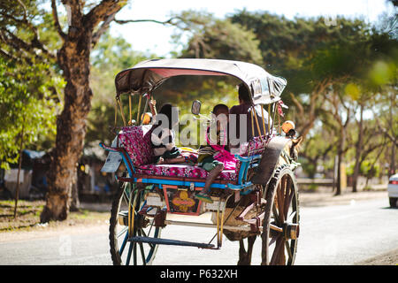 Bagan, Myanmar - 21 févr. 2014 : boy riding on a horse carriage Banque D'Images