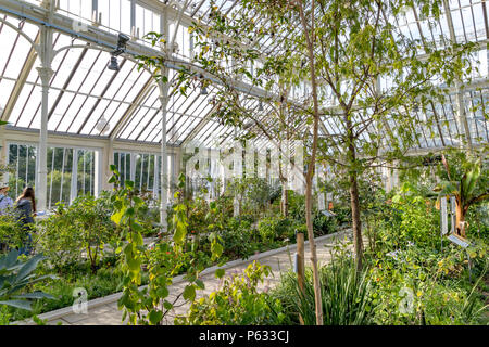La Temperate House récemment restaurée aux Royal Botanic Gardens, Kew , Kew Gardens, Londres, Royaume-Uni Banque D'Images