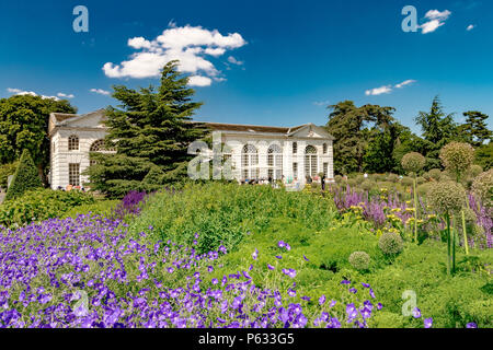 The Orangerie at the Royal Botanic Gardens, Kew Gardens, Londres, Royaume-Uni Banque D'Images