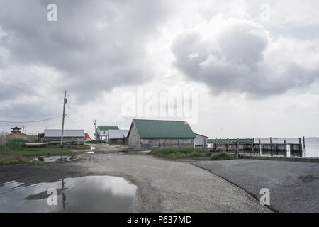 Taylor Landing, Maryland, États-Unis - 17 mai 2018 : Les bâtiments et d'un brise-lames d'un petit village de pêcheurs le long de la baie de Johnson, sur la péninsule DelMarVa. Banque D'Images