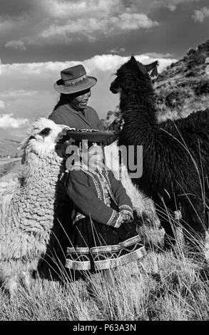 Fille QUECHUA avec sa grand-mère & Llamas - ANDES PÉRUVIENNES Banque D'Images