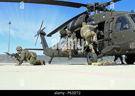 Les soldats canadiens quitter rapidement un UH-60 Blackhawk hélicoptère pendant les répétitions de charge à froid, le 21 avril à Lielvarde Air Base, la Lettonie. Soldats affectés au siège des troupes et de l'Administration centrale, 3e Escadron, 2e régiment de cavalerie de la Lettonie, alliés a rejoint le Canada, la Lituanie et l'Allemagne pour la formation, qui a abouti à des fins particulières et d'extraction rapide d'insertion de la corde sur des exercices un hélicoptère Mi-17 plus tard dans la journée. Cinq soldats de l'Organisation du Traité de l'Atlantique Nord ont été la réalisation d'une variété de formation ensemble durant l'été, un bouclier XIII cadre long int Banque D'Images