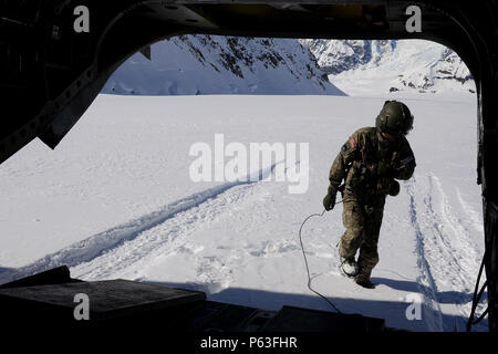 La CPS. Mark Aderholt, la Compagnie B, 1er Bataillon, 52e Régiment d'aviation, inspecte la zone en dehors de son CH-47F Chinook après l'atterrissage sur le Glacier Kahiltna. Aderholt a fait partie de trois équipes de l'US Army Aviation Alaska Groupe de travail qui a passé la semaine à Talkeetna, Alaska, la formation en haute altitude de vol dans la chaîne de l'Alaska. La mission pour le dimanche, 24 Avril inclus poursuivent un partenariat de longue date avec le National Park Service navette pour le matériel et les fournitures nécessaires pour le Service des parcs camp de base sur le Glacier Kahiltna pour la prochaine saison d'escalade sur Denali. (Photo de l'Armée John/PE Banque D'Images