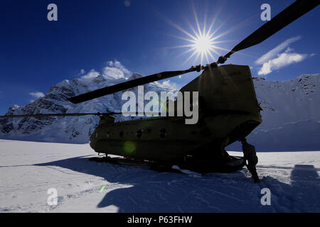 Les soldats de la Compagnie B, 1er Bataillon, 52e Régiment d'aviation, se préparer à décharger du matériel et fournitures auprès du CH-47F Chinook après l'atterrissage sur le Glacier Kahiltna. Trois équipages de l'aviation en Alaska l'armée américaine Groupe d'étude a passé la semaine à Talkeetna, Alaska, la formation en haute altitude de vol dans la chaîne de l'Alaska. La mission pour le dimanche, 24 Avril inclus poursuivent un partenariat de longue date avec le National Park Service navette pour le matériel et les fournitures nécessaires pour le Service des parcs camp de base sur le Glacier Kahiltna pour la prochaine saison d'escalade sur Denali. (Photo de l'Armée/John Pennell) Banque D'Images