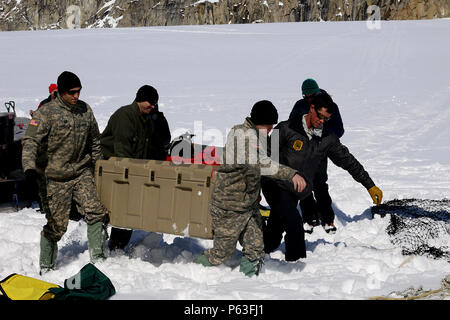 Le personnel du Service des parcs nationaux et des soldats de la Compagnie B, 1er Bataillon, 52e Régiment d'Aviation à décharger du matériel et des fournitures à partir d'un hélicoptère CH-47F Chinook après l'atterrissage sur le Glacier Kahiltna. Trois équipages de l'aviation en Alaska l'armée américaine Groupe d'étude a passé la semaine à Talkeetna, Alaska, la formation en haute altitude de vol dans la chaîne de l'Alaska. La mission pour le dimanche, 24 Avril inclus poursuivent un partenariat de longue date avec le National Park Service navette pour le matériel et les fournitures nécessaires pour le Service des parcs camp de base sur le Glacier Kahiltna pour la prochaine saison d'escalade sur Denali. (Armée de ph Banque D'Images