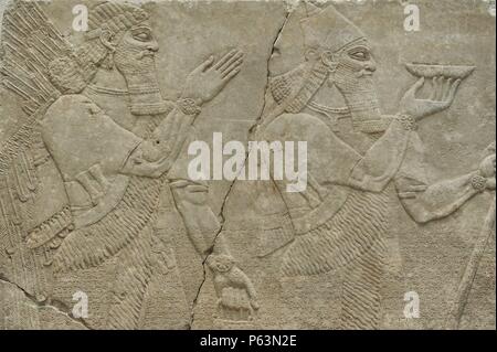 ARTE-MESOPOTAMICO ASIRIO. Asurbanipal junto a un genio alado. Soulager datado en el siglo IX a. C. Alabastro. Procedente del PALACIO DE ASURBANIPAL. Nimrud. Neues Museum. Berlín. Alemania. Europa. Banque D'Images