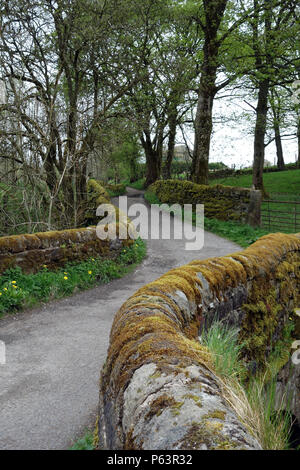 Country Lane sur le sentier de grande Pendle Way dans le village de Wycoller, Colne, Pendle, Lancashire, England, UK Banque D'Images