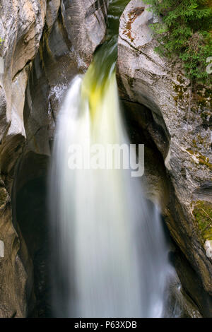 Maligne Canyon est une caractéristique naturelle situé dans le parc national Jasper près de Jasper, Alberta, Canada. Palliser en érosion de la formation. Banque D'Images