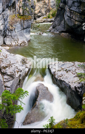 Maligne Canyon est une caractéristique naturelle situé dans le parc national Jasper près de Jasper, Alberta, Canada. Palliser en érosion de la formation. Banque D'Images