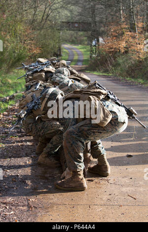 Les Marines de Special Purpose Marine Air-Ground Task Force-Crisis Response-Africa se sont préparés à lever un journal pour l'exercice final lors d'un événement de stress en Allemagne le 12 avril 2016, dirigé par les forces spéciales de l'armée américaine. L'événement comprenait des cours de tir chronométrés, des entraînements d'agilité urbaine et des courses de journaux d'escouade. Les Marines pratiquaient le travail d'équipe, la coordination, l'endurance et la vitesse pour améliorer la préparation opérationnelle, la performance tactique et la capacité de réponse rapide dans des conditions stressantes. Banque D'Images