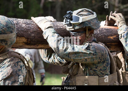 Les Marines de Special Purpose Marine Air-Ground Task Force-Crisis Response-Africa ont transporté des billes à travers un terrain escarpé lors de l'exercice final d'un événement de stress en Allemagne le 12 avril 2016, dirigé par les forces spéciales de l'armée américaine. L'événement comprenait des cours de tir chronométrés, des entraînements d'agilité urbaine et des courses de journaux d'escouade. Les Marines pratiquaient l'endurance, la vitesse, le travail d'équipe, la coordination et la gestion du stress pour améliorer la préparation opérationnelle, la performance tactique et la capacité de réponse rapide. Banque D'Images
