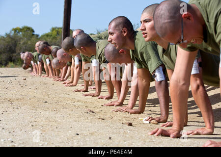 Les recrues du Corps des Marines des États-Unis auprès de la société E, 2d instruction des recrues Bataillon, Régiment d'entraînement des recrues, effectuer des pousées à bord Marine Corps Recruter Depot San Diego, Californie, le 26 avril 2016. Les recrues a terminé un exercice à chaque station dans le cadre d'un cours de circuit d'entraînement. (U.S. Marine Corps photo par Lance Cpl. Robert G. Gavaldon/libérés) Banque D'Images