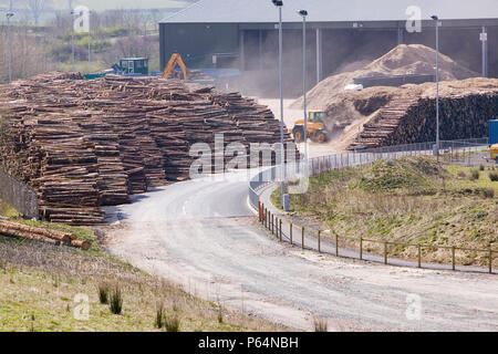 E.ON sur les biocarburants power station à Lockerbie en Écosse avec approvisionnement en bois.La centrale électrique est alimentée à 100 % par le bois provenant de forêts locales et gen Banque D'Images