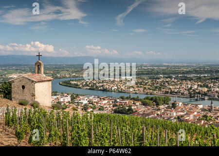 À travers les vignobles de Tain l'hermitage Drôme Auvergne-Rhône-Alpes France Banque D'Images