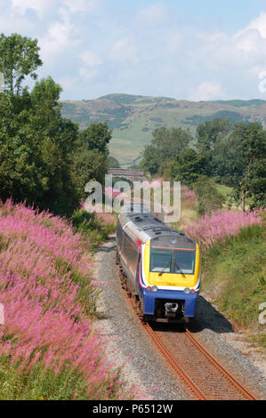 Une première classe Transpenine 175 007 numéro d'unité est vue ici à Sandy Cove en travaillant pour un service d'Oxenholme Windermere en août 2004. Banque D'Images