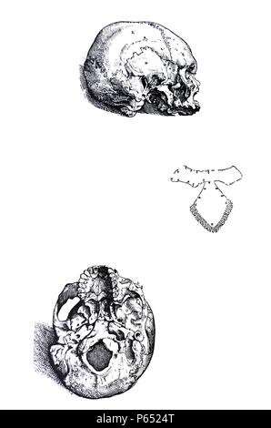 Les plaques du premier livre du De Humani Corporis Fabrica de Vésale, (1514-1564) Planche 6 Ce chiffre représente le crâne allongé plus loin sur le côté gauche de sorte que la base du crâne vient quelque peu en vue. Banque D'Images