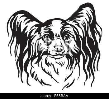 Portrait de chien Papillon décoratif, vector illustration isolé en couleur noir sur fond blanc. Droit pour la conception et de tatouage. Illustration de Vecteur