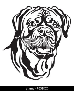 Portrait de décoration de chien Dogue de Bordeaux Mastiff (français), vector illustration isolé en couleur noir sur fond blanc. Pour l'Image et conception Illustration de Vecteur