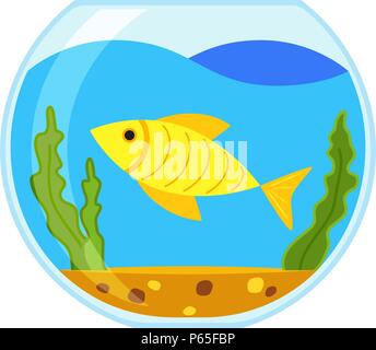 Aquarium poissons ronds cartoon coloré Illustration de Vecteur