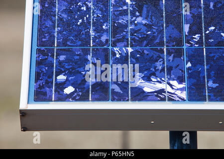 Des panneaux solaires sont utilisés pour produire de l'électricité pour alimenter l'équipement scientifique dans le cadre d'un projet de recherche par des scientifiques de l'Université de Sydney. Snow Banque D'Images