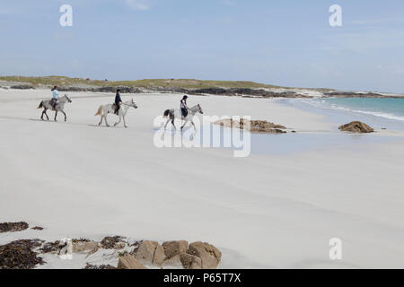 Promenades à cheval sur la plage de sable blanc près de Ballyconneely dans le Connemara, comté de Galway, Irlande Banque D'Images