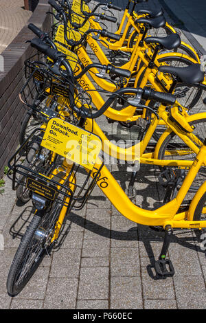 Vélos ofo, Sheffield Banque D'Images