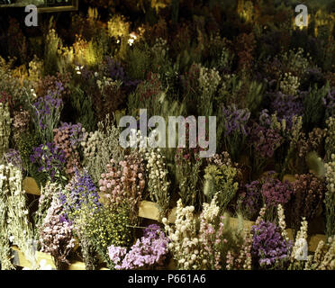 Close-up de bouquets de fleurs séchées prêtes à être transformées en une couronne Banque D'Images