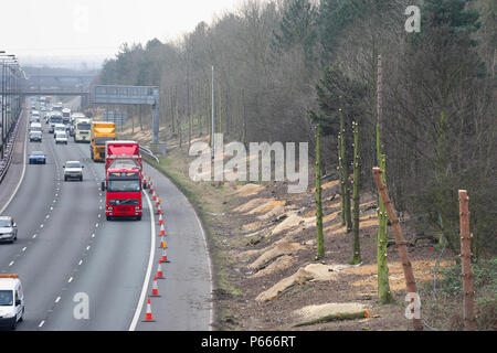 Les troncs des arbres dépouillés au cours de M1 Programme élargissement entre les échangeurs 25 et 28, Kent, UK Banque D'Images