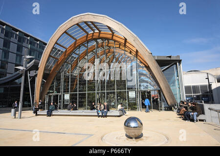 Jardin d'hiver, Sheffield, Yorkshire et Humber, région de l'Angleterre. Banque D'Images