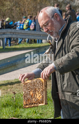 Lors d’un événement du jour de la Terre à Oberdachstetten Range Training Area, en Allemagne, le 20 avril 2016, un apiculteur présente une ruche aux étudiants, enseignant la surveillance de l’environnement. Les abeilles sont expliquées comme des bioindicateurs de la pollution, et la session met l'accent sur la conservation, la santé des écosystèmes, la biodiversité, la sensibilisation à l'environnement, la durabilité, et des pratiques qui maintiennent l'air, le sol et l'eau propres dans les habitats naturels. Banque D'Images