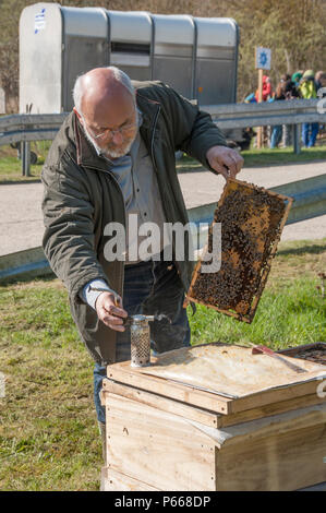 Un apiculteur forme des étudiants à Oberdachstetten Range Training Area, en Allemagne, le 20 avril 2016, faisant la démonstration d'une ruche pendant le jour de la Terre. Les abeilles servent d'indicateurs de la pollution de l'environnement. Le programme met l'accent sur la préservation de l'écosystème, la biodiversité, les stratégies de conservation, les pratiques de durabilité, la sensibilisation à l'environnement, et le maintien de la propreté des habitats, de l'air et de l'eau dans le cadre de l'éducation et de l'intendance écologiques mondiales. Banque D'Images