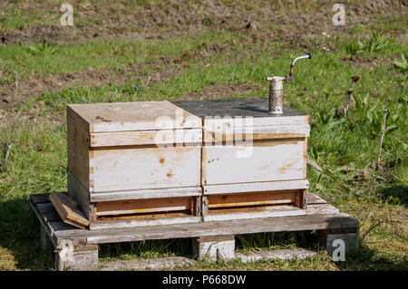 Une boîte de présentation contenant des abeilles est montrée aux étudiants par un apiculteur à Oberdachstetten Range Training Area, en Allemagne, le 20 avril 2016, lors d'un événement éducatif du jour de la Terre. La session met en évidence les abeilles comme indicateurs de la pollution environnementale et enseigne la conservation, la protection des écosystèmes, la biodiversité, la gérance de l'environnement, la durabilité, et l'importance de préserver la propreté de l'air, du sol et de l'eau pour la santé écologique mondiale. Banque D'Images