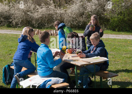 Les enfants participent à des activités artistiques et de jardinage lors d’un événement éducatif du jour de la Terre à Oberdachstetten Range Training Area, Allemagne, le 20 avril 2016, peignant des poteries et plantant des fleurs comme cadeaux pour la fête des mères. Les activités enseignent la sensibilisation à l'environnement, la créativité et les compétences en horticulture. Animés par DPW et TSC Ansbach, les enfants apprennent à prendre connaissance de l’entretien des plantes, de la gestion des sols et du rôle de la flore dans les écosystèmes. Le programme met l'accent sur les pratiques durables, le travail d'équipe, l'observation et la promotion de l'appréciation de la nature tout en engageant les jeunes dans des expériences d'apprentissage pratiques. Banque D'Images