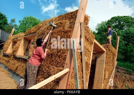 Les bénévoles et d'experts Barbara Jones d'Amazon Nails fait ériger un bâtiment Strawbale, Centre for Alternative Technology, Machynlleth, Mid Wales Banque D'Images