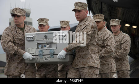 Une équipe de transporter du Corps des Marines des États-Unis porte une boîte de transfert vide au drapeau plié 2016 décès de masse exercice de transfert digne le 4 mai 2016, à Dover Air Force Base, Del. deux Corps des Marines et un Air Force transporter d'équipes ont participé à cet exercice. (U.S. Air Force photo/Senior Airman Zachary Cacicia) Banque D'Images