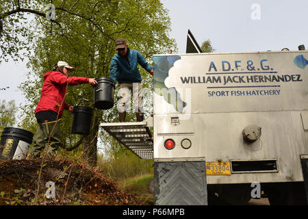 Krystina bas, conduite de la pêche avec le Centre de gestion environnementale des terres militaires prend deux seaux de truites arc-en-ciel du Chuck Pratt, un pisciculteur de la William Jack Hernandez Sport Fish Hatchery sur la rive du lac Fish 9 mai. Les poissons sont transportés de l'écloserie de lacs tout autour de la zone et vont même jusqu'à Seward, Alaska. (U.S. Photo de l'Armée de l'air par la Haute Airman Kyle Johnson) Banque D'Images