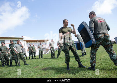 Le capitaine Zzoran Stankoski, commandant de compagnie de la police militaire macédonien demande à un soldat bulgare sur les armes non létales pendant l'exercice 2016 Platinum Wolf à des opérations de maintien de la base du Centre de formation dans la région de Bujanovac, la Serbie, le 13 mai 2016. Sept pays dont la Bosnie, Bulgarie, Macédoine, Monténégro, Slovénie, Serbie, et les États-Unis se sont joints ensemble pour mener des opérations de maintien de la paix et les armes non létales au cours de formation de deux semaines. (U.S. Marine Corps photo par le Sgt. Sara Graham) Banque D'Images