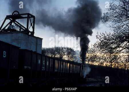 Une scène de fin d'après-midi à la mine de Whittle, Northumberland, avec locomotive n° 31, construit en 1950 et le dernier survivant d'une classe de 0-6-0Ts construit par Banque D'Images