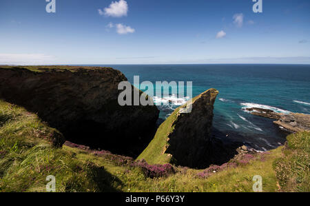 Côte nord de Cornwall en été Banque D'Images